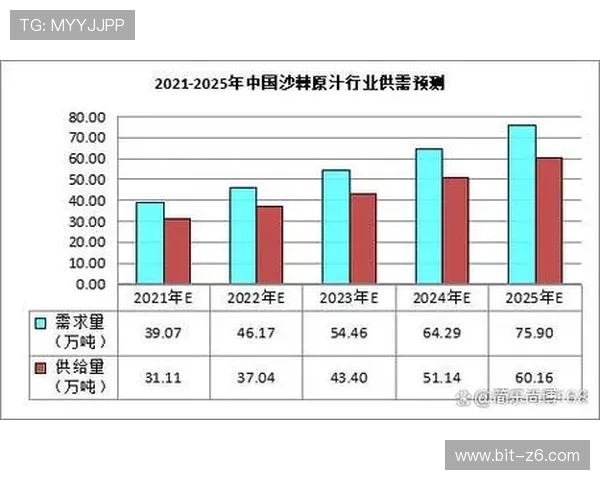 尊龙公司在行业中的领先地位与未来发展战略分析