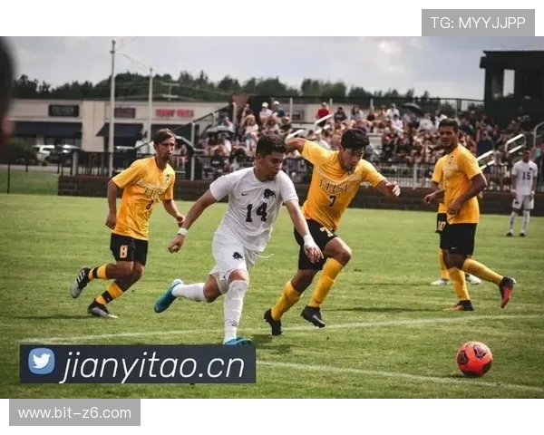 尊龙凯时人：尊龙凯时人如何在激烈竞争中保持优势与持续创新