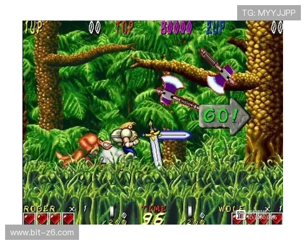 探秘凯时电游游戏的发展历程与未来趋势