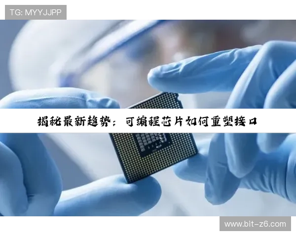 凯时尊龙网页登录教程详解，帮助新手快速注册登录，轻松掌握游戏操作与账号管理技巧