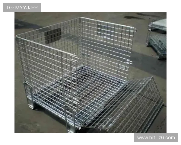 尊龙凯时z6最新版本下载资源大全,提供官方正版安全下载链接与更新信息 尊龙凯时z6最新版本下载资源大全,提供官方正版安全下载链接与更新信息