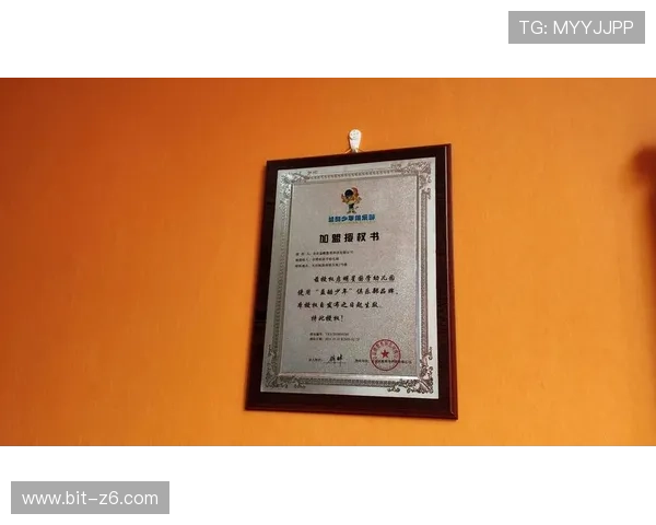 尊龙集团官网登录遇到问题怎么办？详细解决方案全攻略